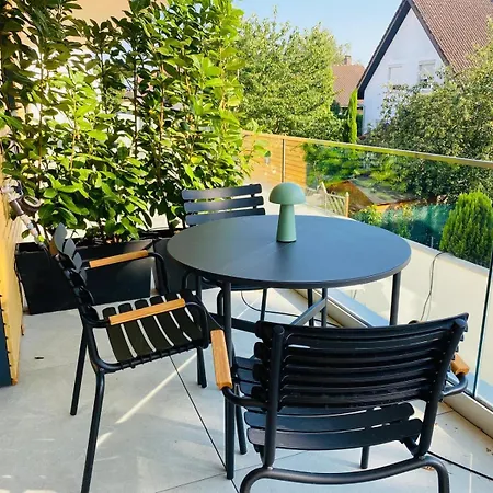 Homely Basel Airport Apartment