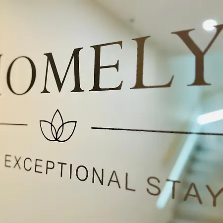 Homely Basel Airport *