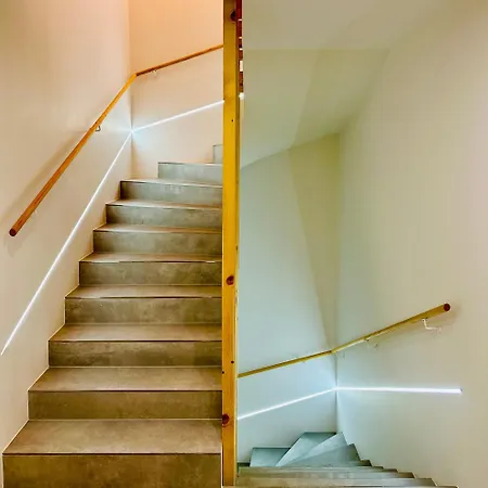 Homely Basel Airport Appartement *